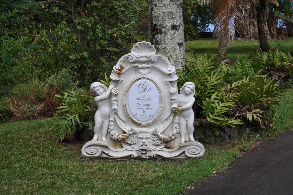 The Palms Cliff House Inn Honomu Exterior photo